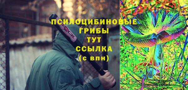 круглые Иннополис